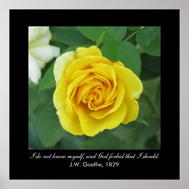 Jag känner mig inte själv. . . (Goethe) Poster (Framsidan)