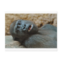 "Jag känner mig så sömnig"