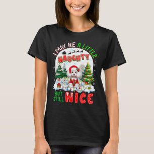 Jag kanske är lite stygg, men ändå Nicefördraget J T Shirt