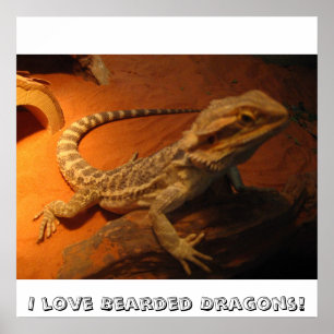 Jag kärlek botade dragoner! poster