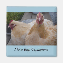 Jag Kärlek... Buff Orpingtons Chicken Magnet