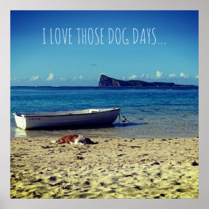 Jag kärlek de där Hund Days... Poster