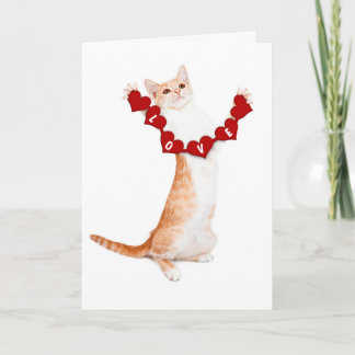 Jag Kärlek dig ett kort med kattunge