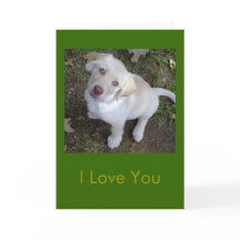 Jag Kärlek du är min favoritmänniska