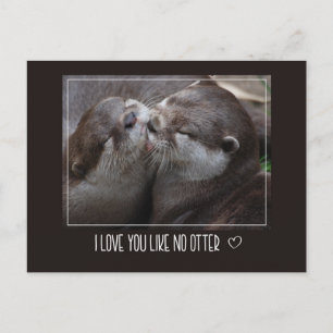 Jag Kärlek du vill inte ha något annat cute-foto Vykort
