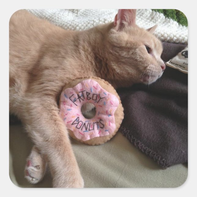 Jag Kärlek Fatboys Donuts! Fyrkantigt Klistermärke (Framsida)