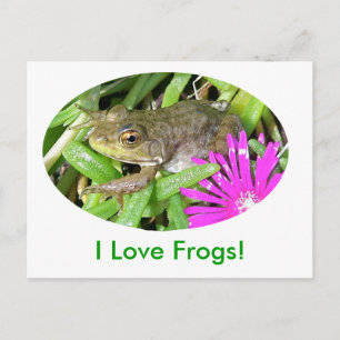 Jag Kärlek Frogs! Kort, skift och presentobjekt Vykort