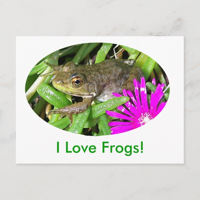 Jag Kärlek Frogs! Kort, skift och presentobjekt Vykort (Framsida)