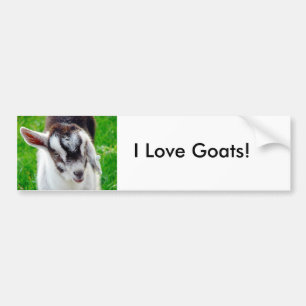 Jag Kärlek Goats! Bildekal