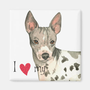 Jag Kärlek min amerikanska Hairless Terrier Magnet