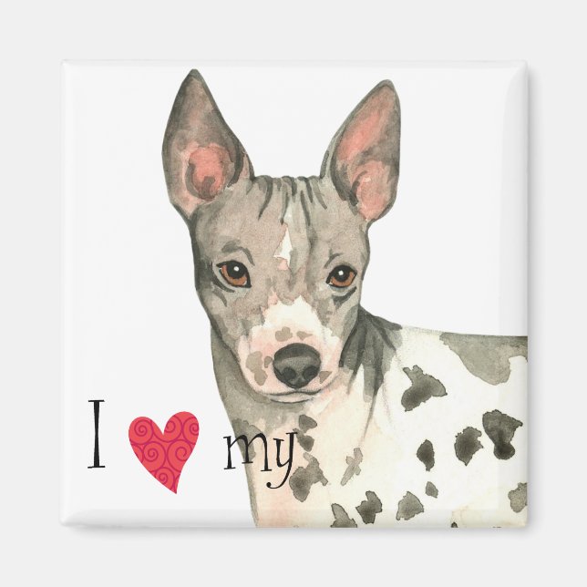 Jag Kärlek min amerikanska Hairless Terrier Magnet (Framsidan)