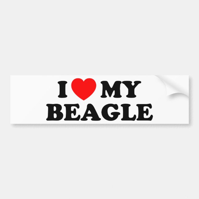 Jag Kärlek min Beagle Bumper Sticker Bildekal (Framsidan)