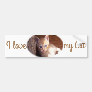 Jag kärlek min Cat Bumper Sticker Bildekal