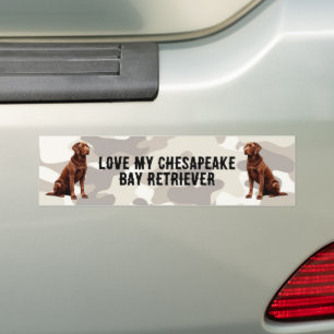 Jag kärlek min Chesapeake Bay... Bildekal