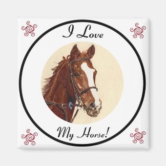 Jag Kärlek min häst! Equestrian Magnet