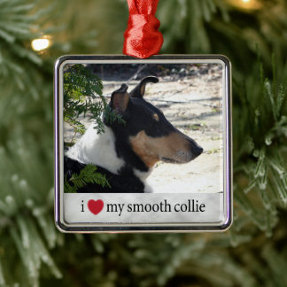 Jag kärlek min Smooth Collie Photo jul Julgransprydnad Metall