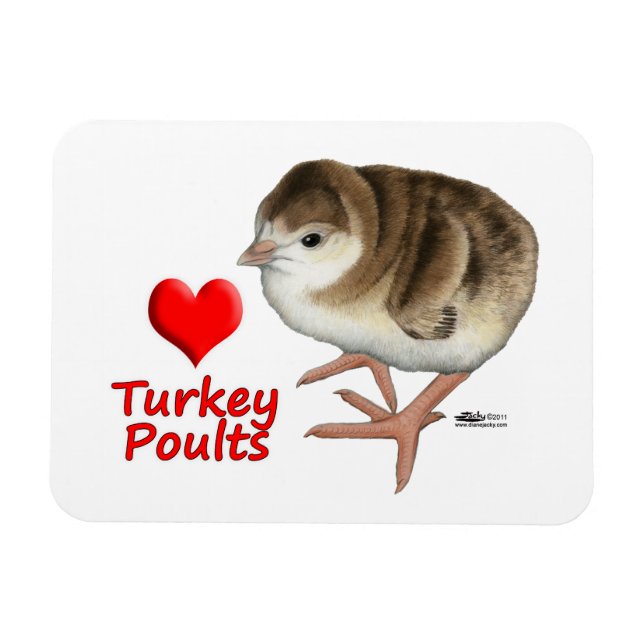 Jag Kärlek Turkiet Poults! Magnet (Horisontell)
