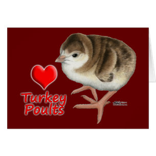 Jag Kärlek Turkiet Poults! OBS Kort