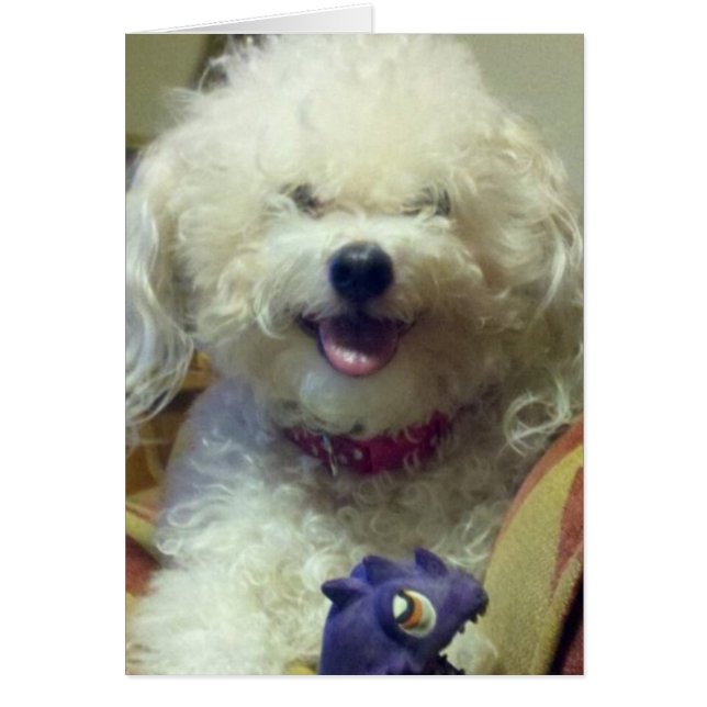 JAG KÄRLEK U MER ÄN MIN FAV LEKSAK HÄLSNINGSKORT (Framsidan)