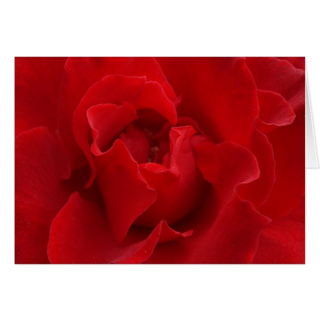 Jag Kärlekar dig alltid Hälsningskort (Framsidan Horizontal)