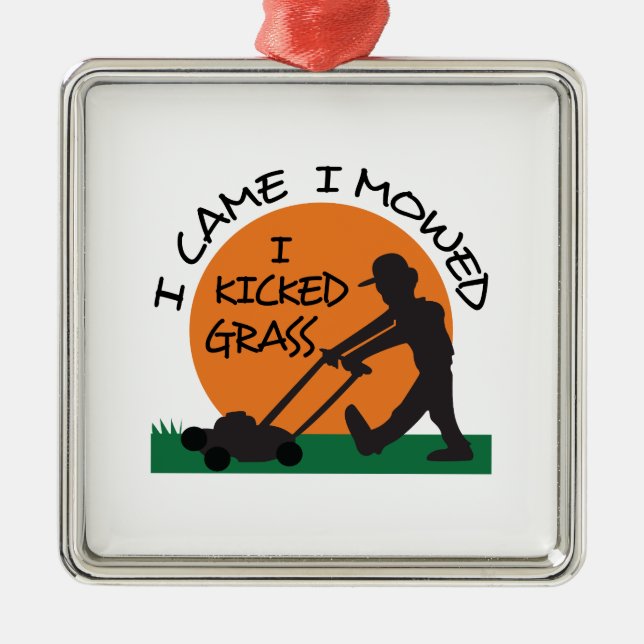 JAG KICKADE GRAS JULGRANSPRYDNAD METALL (Framsidan)