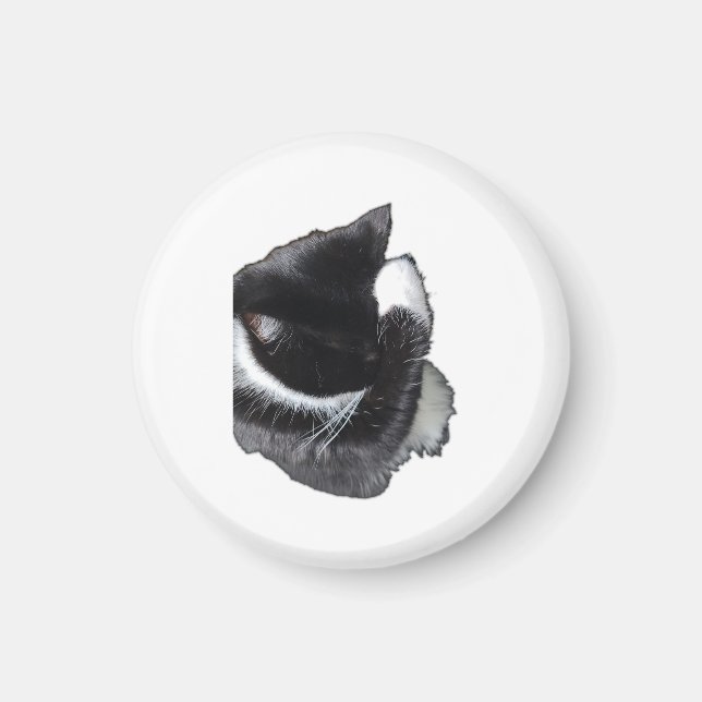 Jag klarar inte ens nu magnet (Framsidan)