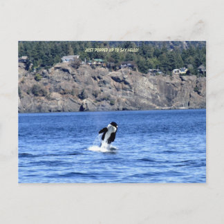 Jag kom bara för att säga Hej! Vykort