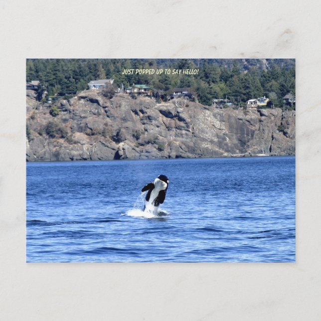 Jag kom bara för att säga Hej! Vykort (Framsida)