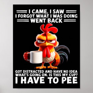 Jag kom jag såg jag glömde vad jag gjorde gick til poster