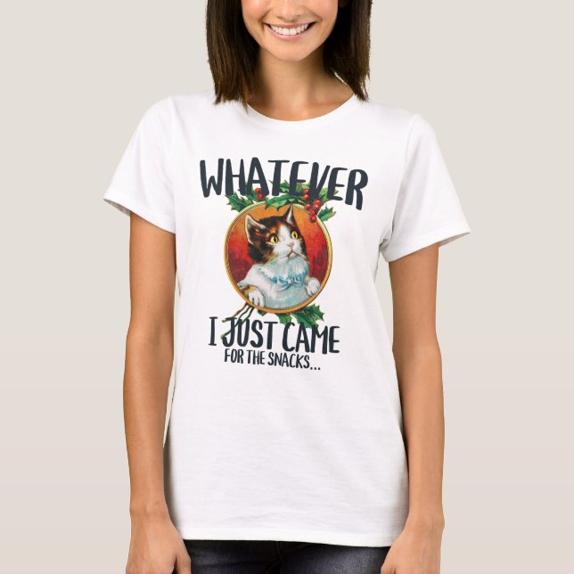 Jag kom precis för att hitta snacket. t shirt (Framsida)