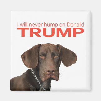 Jag kommer aldrig att fuska på Donald Trump! Magnet