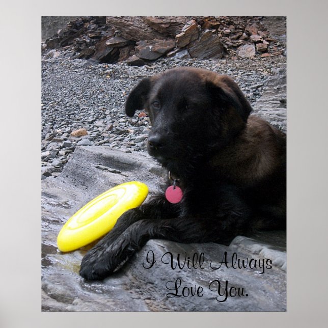 Jag kommer alltid att Poster Kärlek (Framsidan)