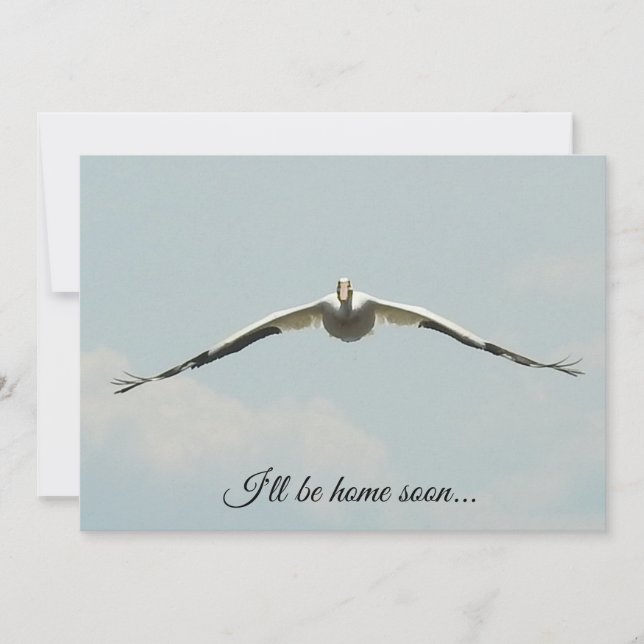 Jag kommer snart hem, Pelican Flies Kort (Framsida)