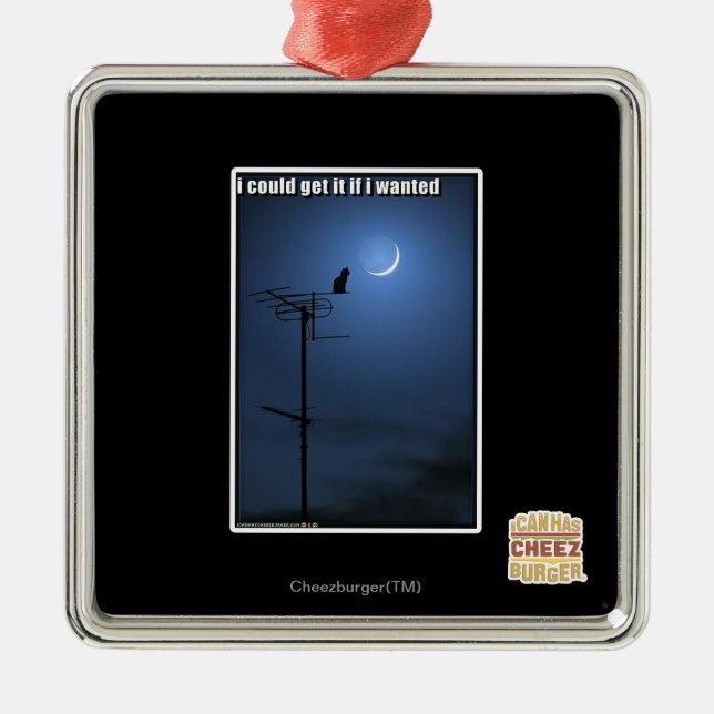 Jag kunde få det, om jag önskade julgransprydnad metall (Framsidan)