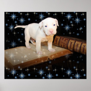 Jag lär mig att läsa bibeln poster