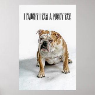 Jag lärde mig en puddy som poster