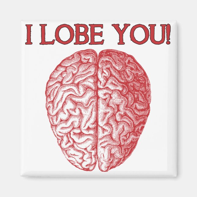 Jag Lobe dig Nerd Geek Kärlek Funny Fridge Magnet (Framsidan)