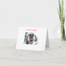"Jag luktar tårta!" Hund Nose Birthday Card