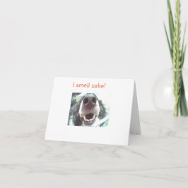 "Jag luktar tårta!" Hund Nose Birthday Card Kort