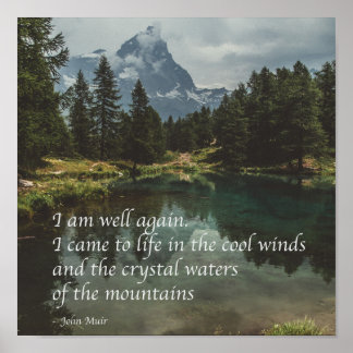 'Jag mår bra igen' J Muir natur mindfulness-citat Poster