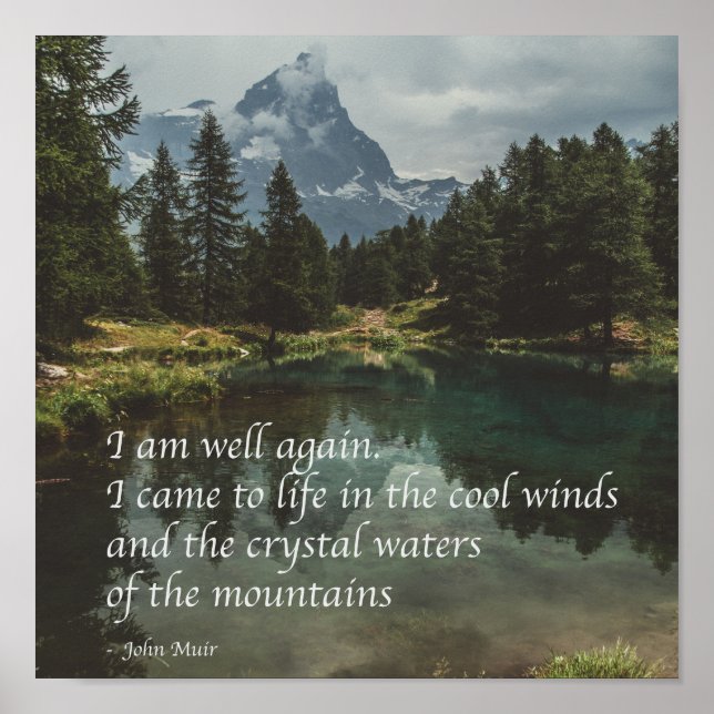 'Jag mår bra igen' J Muir natur mindfulness-citat  Poster (Framsidan)