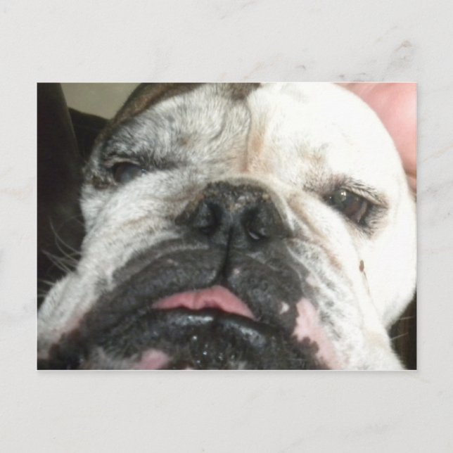 Jag måste sluta dricka. vykort (Framsida)