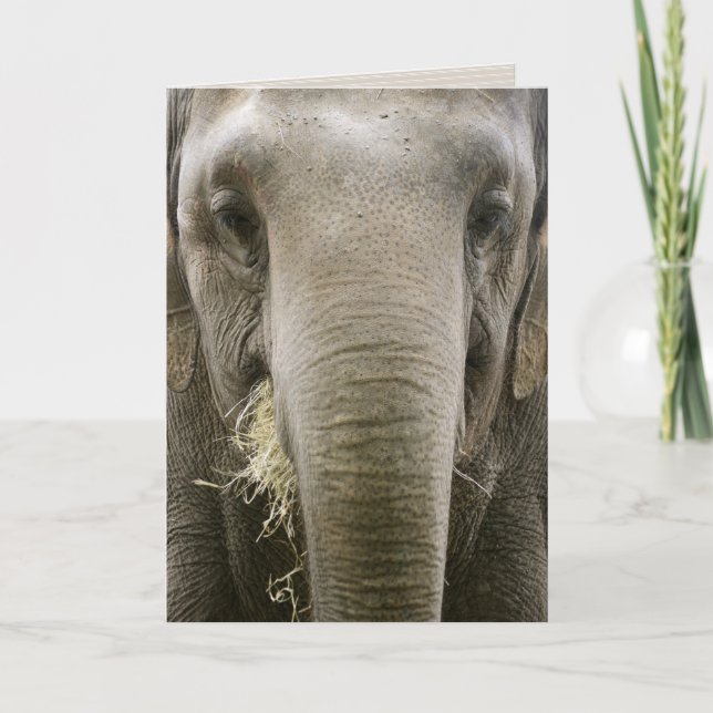 "Jag minns" hälsningskort Kort (Framsida)