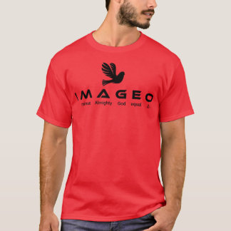 Jag minus Allmighty Gud lika med 0 T Shirt