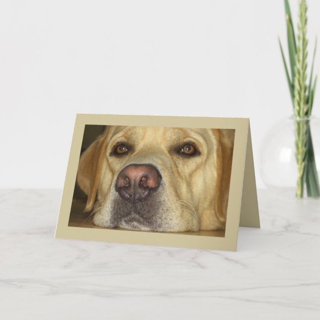 Jag missa dig - gulliga gula Labrador Kort (Framsida)