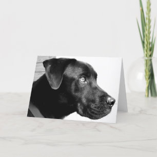 Jag missa dig manen! kort