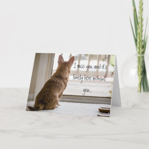 Jag missar anteckningskort