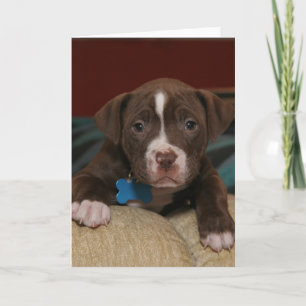 Jag missar dig - Cute Pit Puppy Helgkort