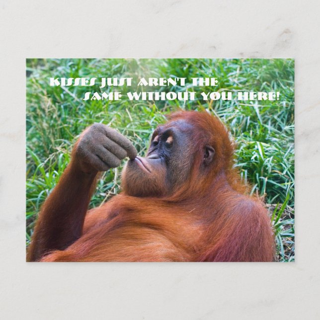 Jag missar dig Funny Orangutan Postcard Vykort (Framsida)