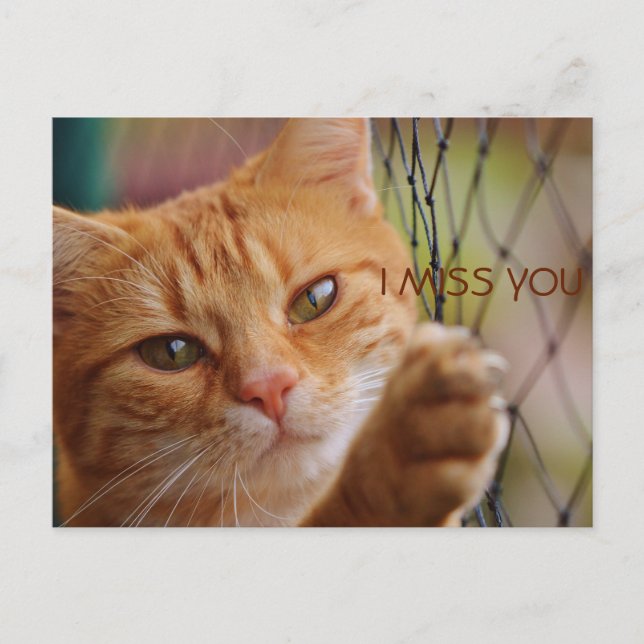 JAG MISSAR DIG VYKORT (Framsida)